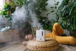 Understanding Impacts on Indoor Air Quality Understanding Impacts on Indoor Air Quality